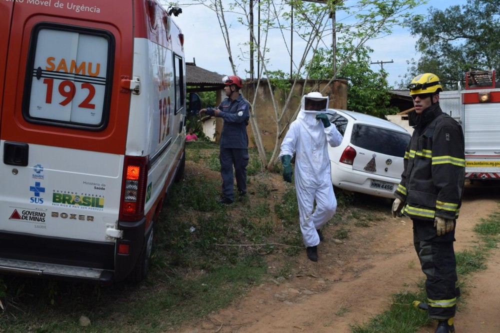 Enxame de abelhas ataca motorista de caminhão em Muriaé