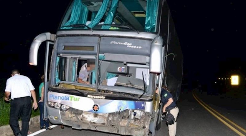 Motorista de ônibus fica gravemente ferido após atropelar vaca na BR-116 em Muriaé