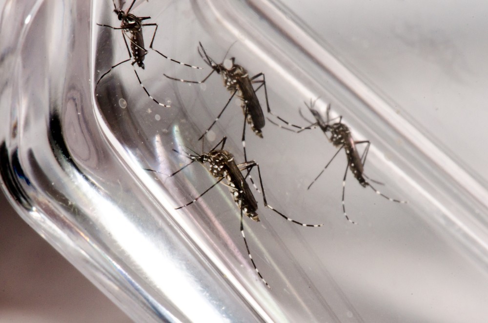 SES-MG investiga primeira morte por suspeita de dengue em 2020 na Zona da Mata