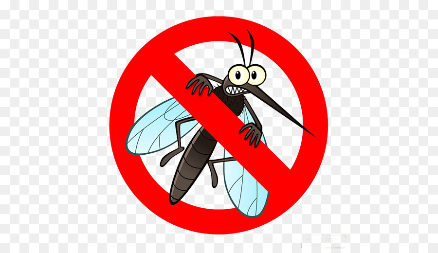 Saiba a forma mais eficaz de se livrar do mosquito da dengue e outros insetos
