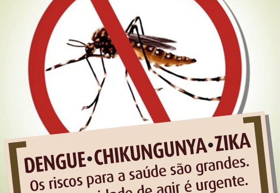 Dengue, Zika e Chikungunya: saiba como prevenir