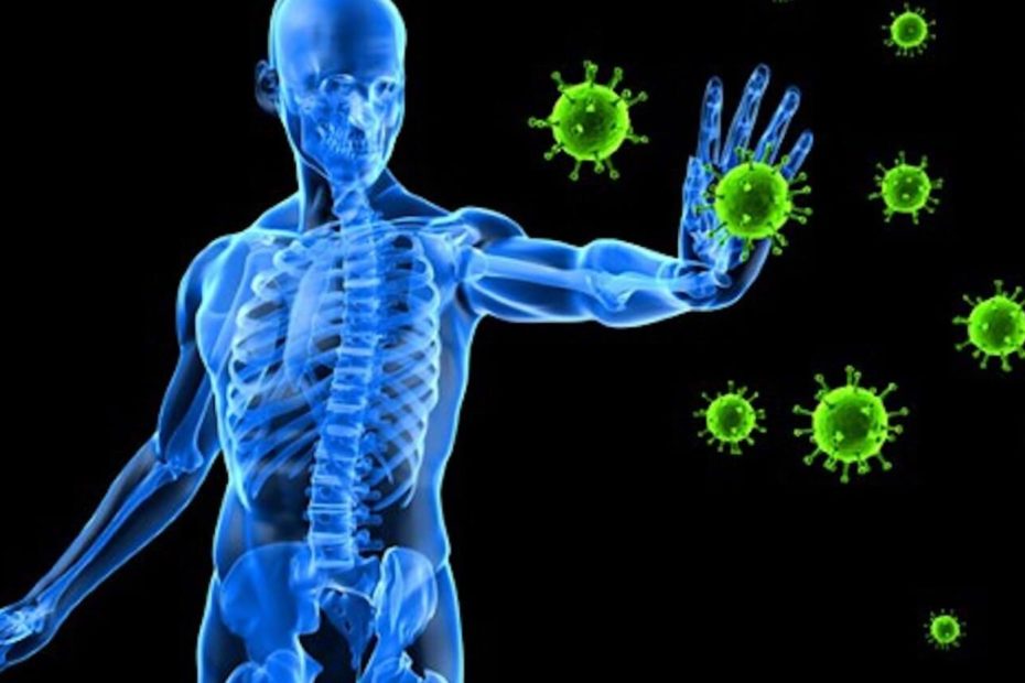 Saiba como aumentar a imunidade e ficar protegido contra o Coronavírus