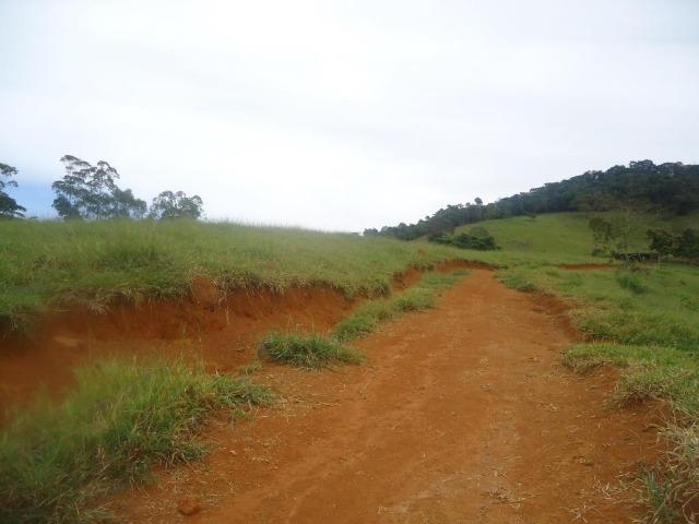 Sitio 24,78,08 ha