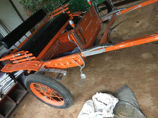 Charrete e carroça Rio Novo!