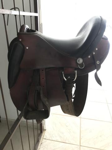 Jumento Pêga ( Reprodutor)