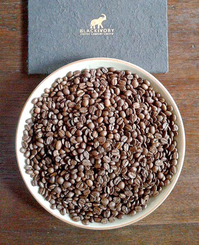 BLACK IVORY COFFEE EM GRÃO TORRADO