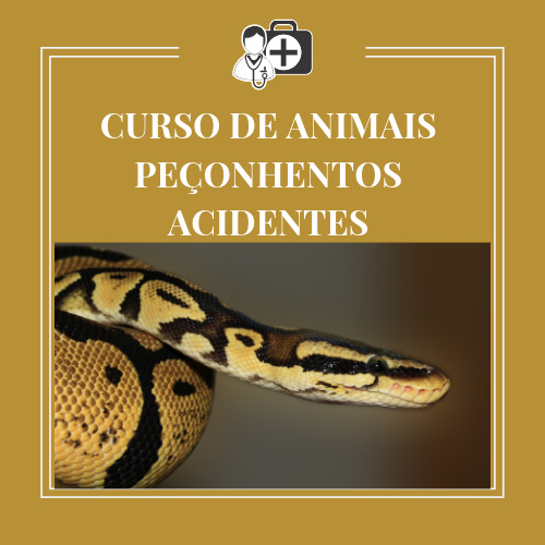 CURSO DE ANIMAIS PEÇONHENTOS ACIDENTES