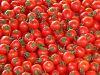 Sementes de Tomate