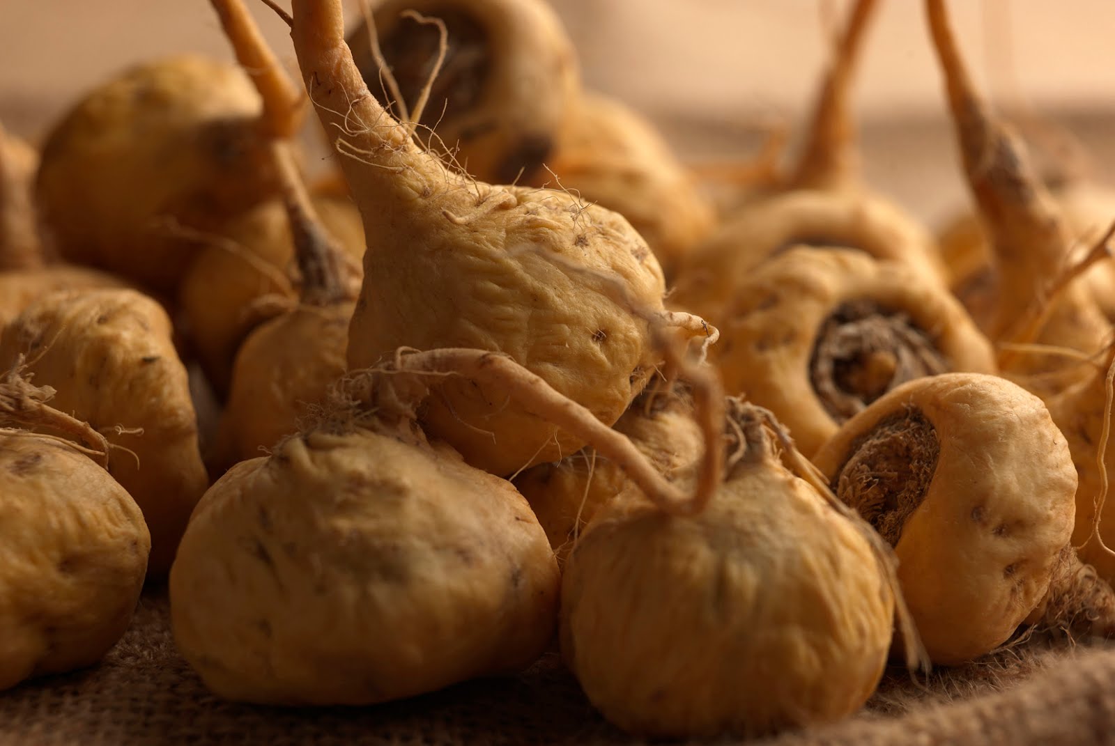 Sementes de Maca Peruana
