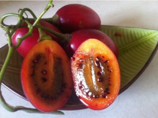Sementes de Tamarillo – Tomate De Árvore
