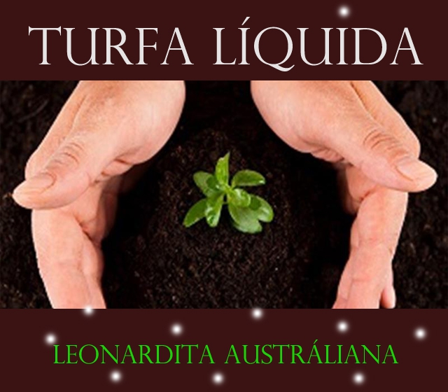 TURFA LÍQUIDA