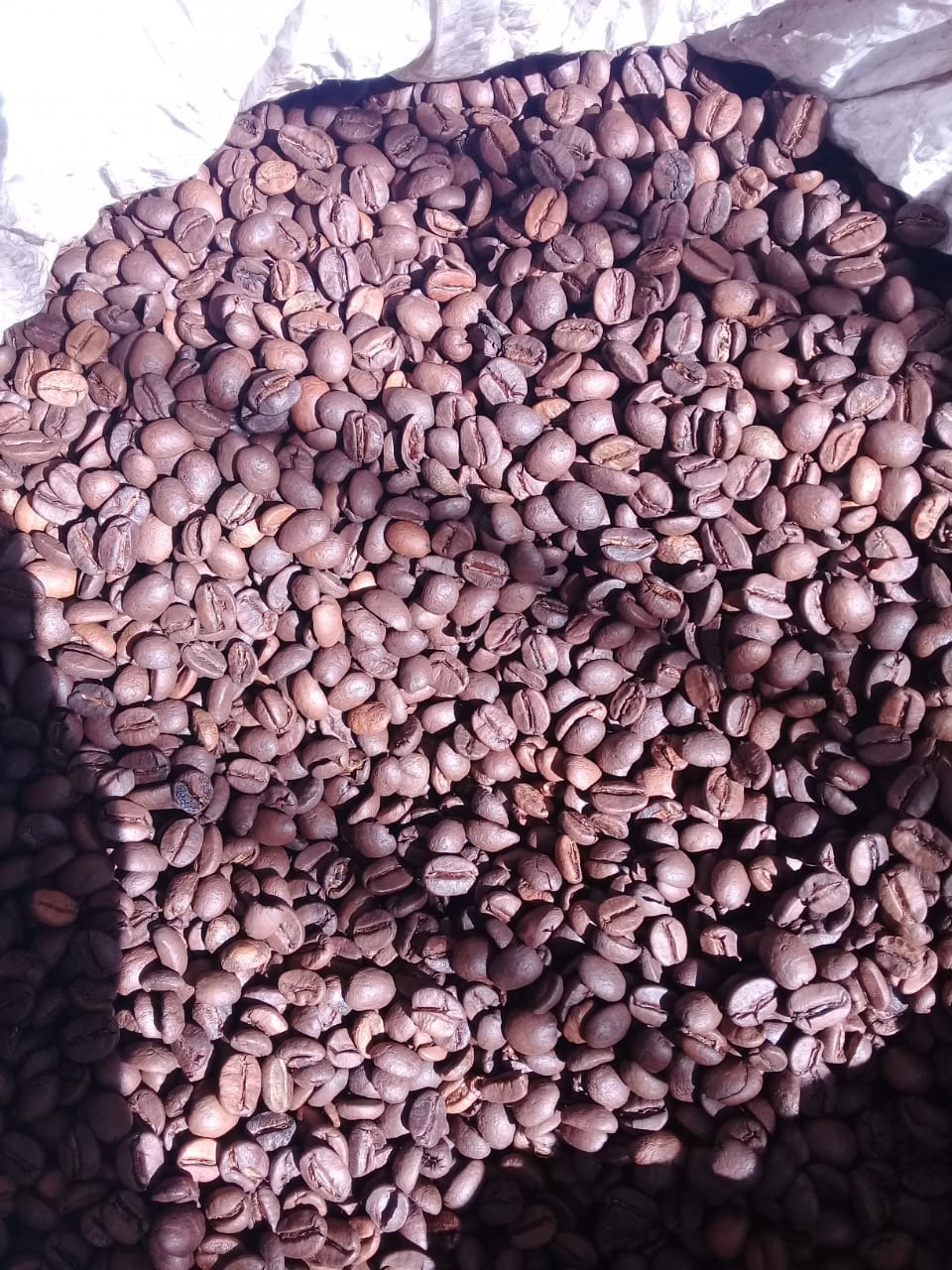 CAFÉ PARA EXPRESSO EM GRÃO TORRADO