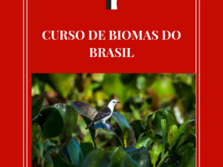 CURSO DE BIOMAS DO BRASIL