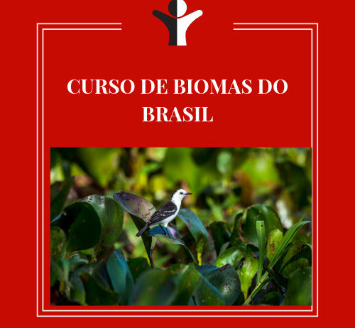 CURSO DE BIOMAS DO BRASIL