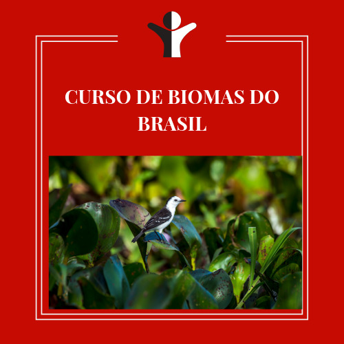 CURSO DE BIOMAS DO BRASIL