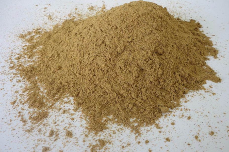 Massa isca para pesca em água salgada