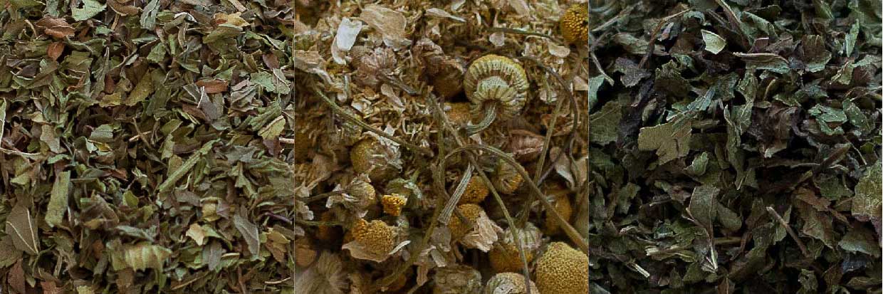 CHÁ PARA ALÍVIO DA DOR