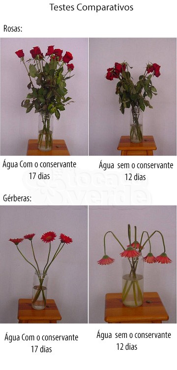 Conservante de Flores