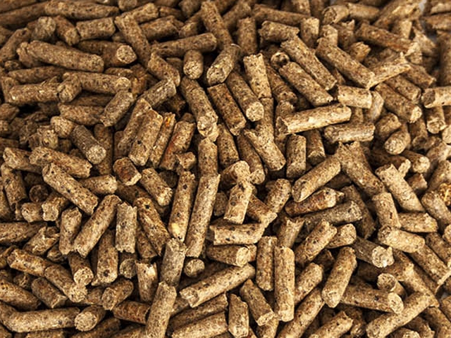 Ração Orgânica para FAISÃO, GANSO E PAVÃO