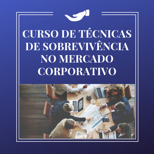 CURSO DE TÉCNICAS DE SOBREVIVÊNCIA NO MERCADO CORPORATIVO