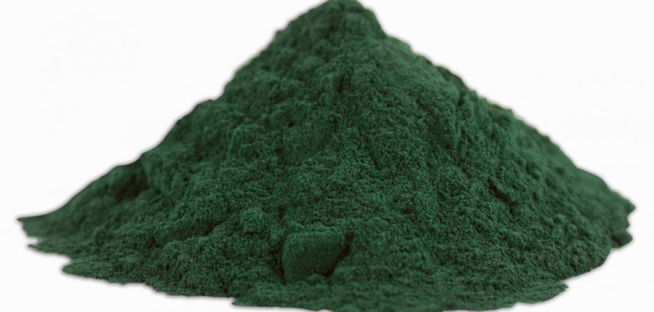 Spirulina Para Pássaros