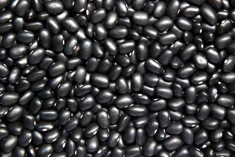 SEMENTES DE FEIJÃO PRETO