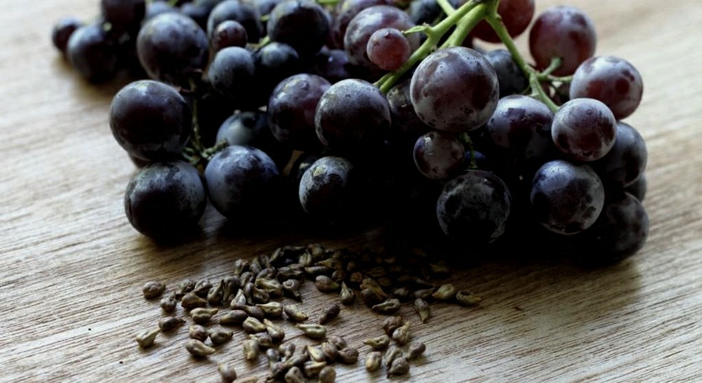 SEMENTES DE UVA ROXA