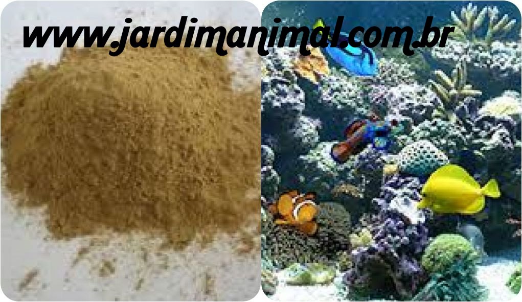 Ração para peixes ornamentais de água salgada (Em pó – REPRODUÇÃO)