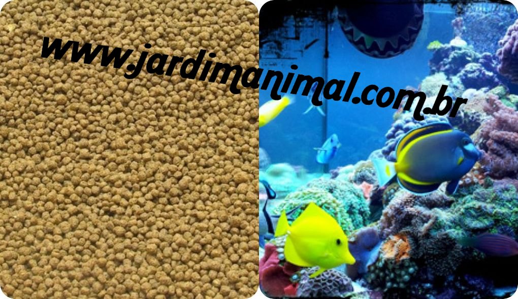 Ração para peixes ornamentais de água salgada (GRANULADA– MANUTENÇÃO)