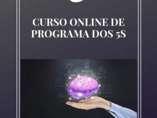 CURSO DE PROGRAMA DOS 5S