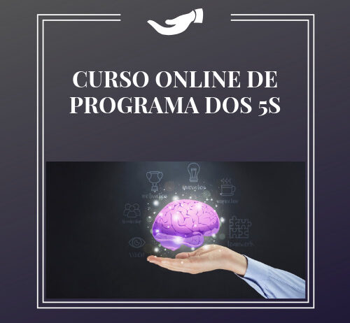 CURSO DE PROGRAMA DOS 5S