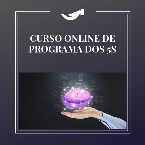 CURSO DE PROGRAMA DOS 5S