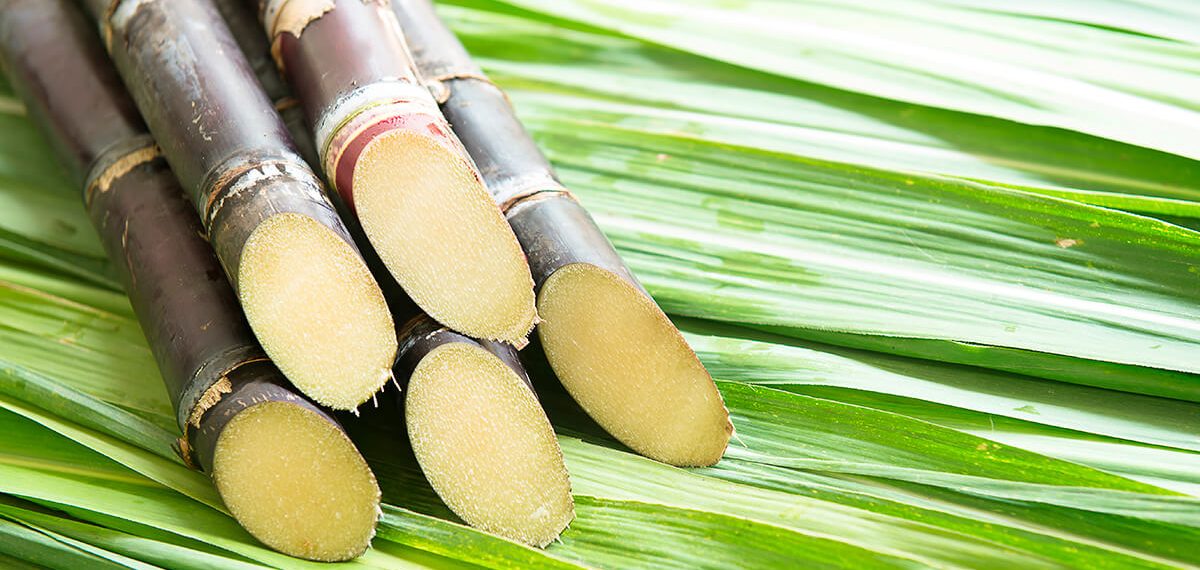 ADUBO PARA CANA DE AÇÚCAR