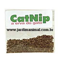Erva De Gato, Cat Nip – 100% Orgânica