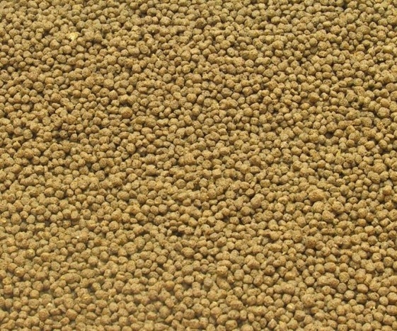 RAÇÃO GRANULADA PARA COLORAÇÃO PEIXES ORNAMENTAIS