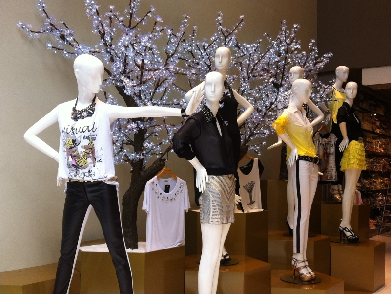 CURSO VITRINISTA PROFISSIONAL