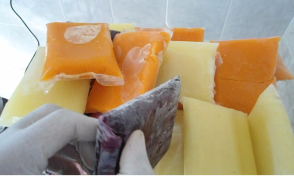 CURSO: PRODUÇÃO DE POLPA DE FRUTAS