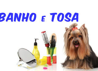 CURSO DE BANHO E TOSA