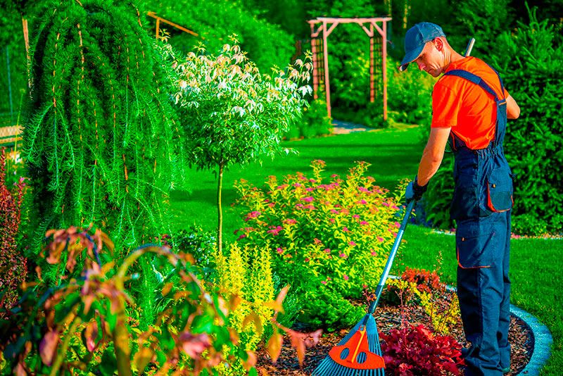 CURSO COMO MONTAR E ADMINISTRAR UMA EMPRESA DE JARDINAGEM