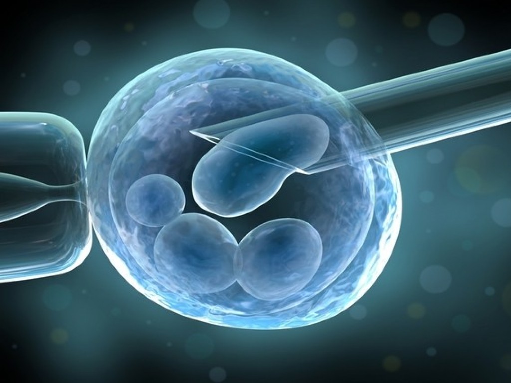 CURSO DE INSEMINAÇÃO ARTIFICIAL EM ANIMAIS