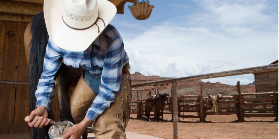 CURSO CASQUEAMENTO E FERRAGEAMENTO EM EQUINOS