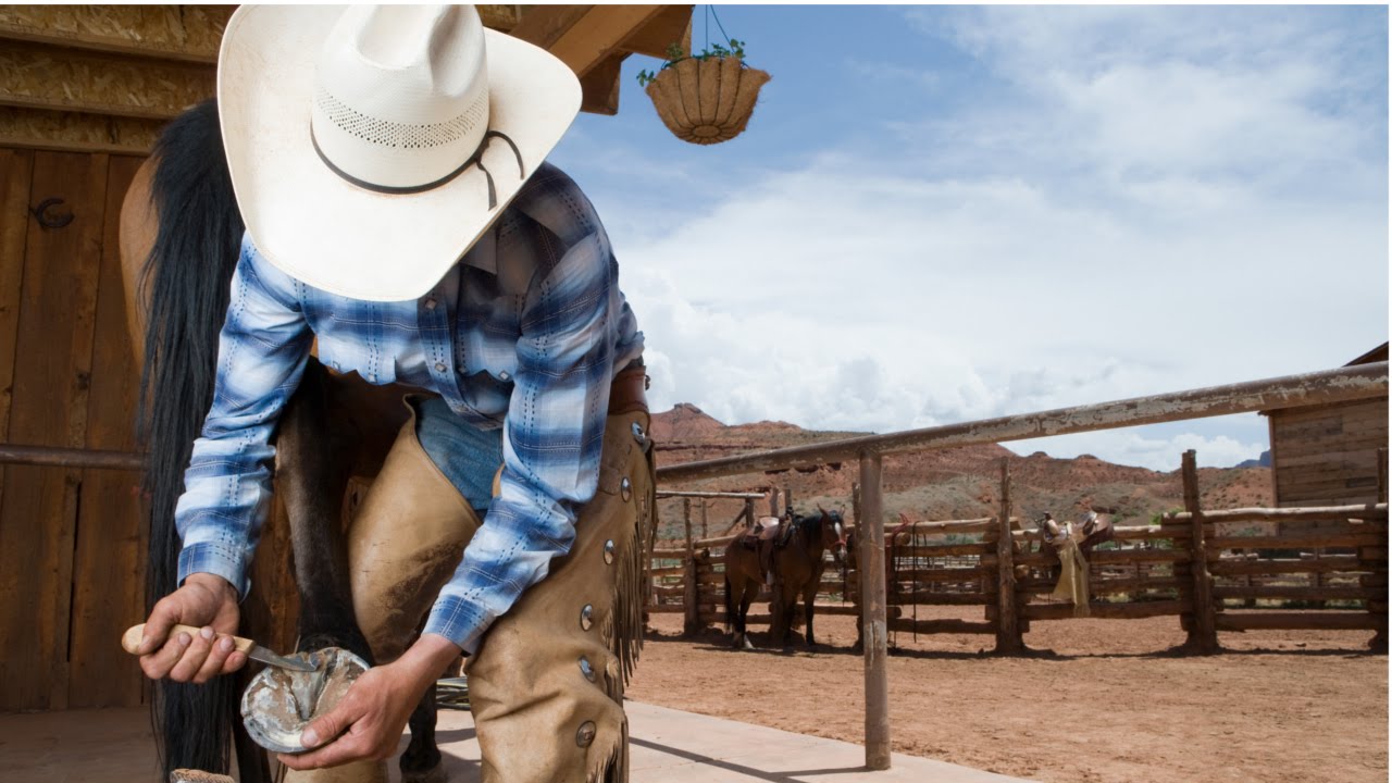 CURSO CASQUEAMENTO E FERRAGEAMENTO EM EQUINOS
