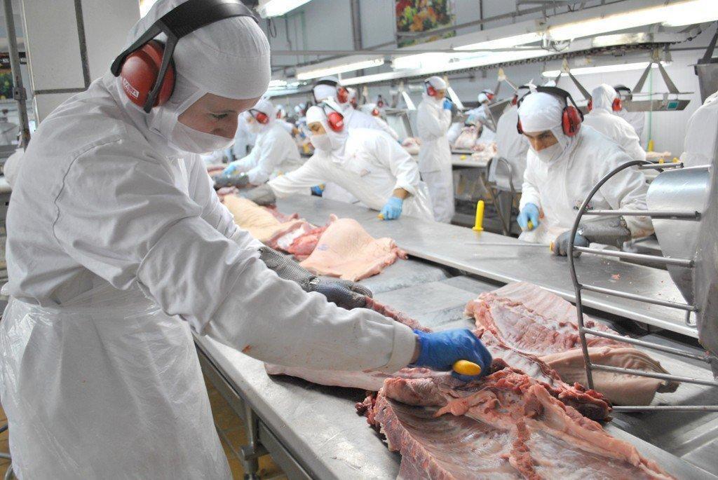 CURSO COMO MONTAR E ADMINISTRAR UM FRIGORÍFICO