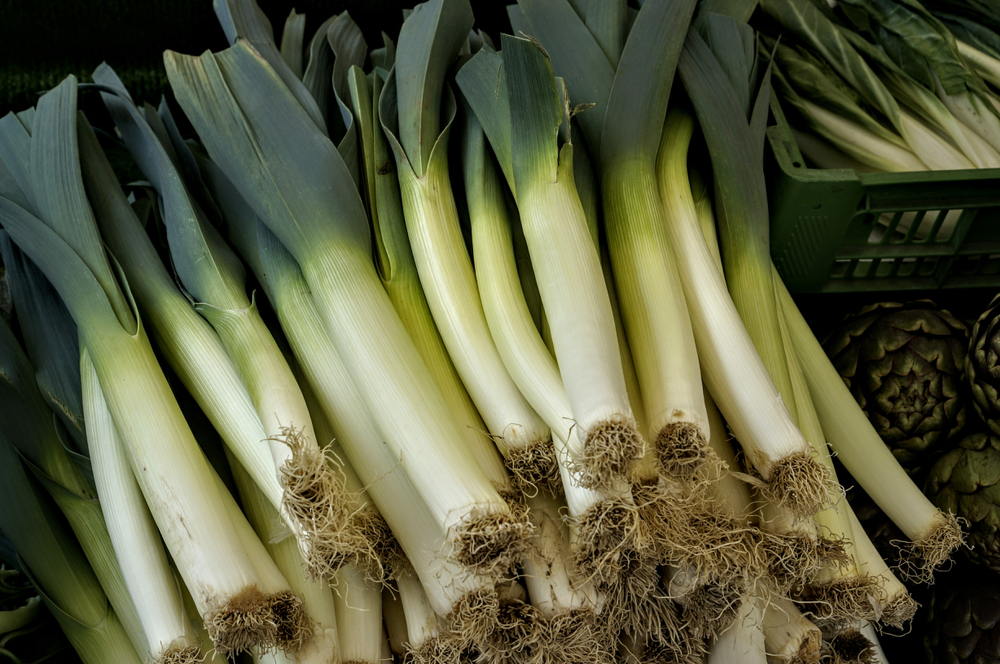 Adubo para alho poró