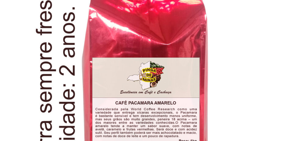 Café Pacamara Amarelo